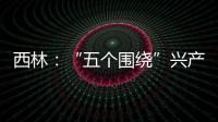 西林：“五個圍繞”興產業促振興