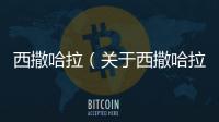 西撒哈拉（關于西撒哈拉的基本情況說明介紹）