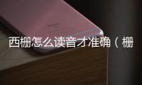 西柵怎么讀音才準確（柵怎么讀）