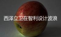 西澤立衛在智利設計波浪狀混凝土屋頂度假屋（組圖）