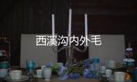 西溪溝內(nèi)外毛