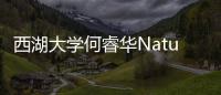 西湖大學何睿華Nature：鈣鈦礦氧化物的異常光陰極特性 – 材料牛