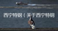 西寧特鋼（關(guān)于西寧特鋼的基本情況說明介紹）