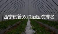 西寧試管雙胞胎醫院排名前十盤點，城中哪家最好清清楚楚