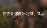 西安北郊保潔公司，鳳城三路家政擦玻璃
