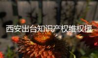 西安出臺知識產權維權援助工作規則