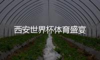 西安世界杯體育盛宴