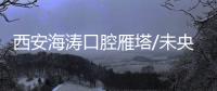 西安海濤口腔雁塔/未央/碑林/蓮湖店地址,送給補牙洗牙人