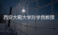 西安大略大學孫學良教授Adv. Funct. Mater:鈷摻雜的SnS2用于解決高硫載量的鋰