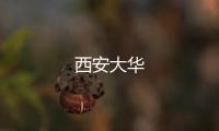 西安大華