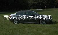 西安市永樂?大中生活電器金花店