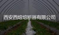 西安西熔熔斷器有限公司榮獲“熔斷器十大品牌”榮譽稱號！