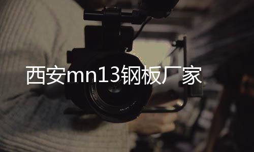 西安mn13鋼板廠家