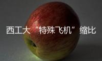 西工大“特殊飛機”縮比試驗機