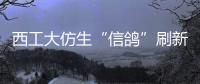 西工大仿生“信鴿”刷新世界紀錄：線小時