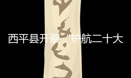 西平縣開展“護航二十大”專項法治宣傳活動