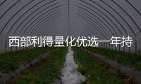 西部利得量化優選一年持有期混合增聘基金經理翟梓艦