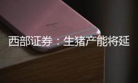 西部證券：生豬產能將延續去化態勢，對于下半年豬價保持相對樂觀態度