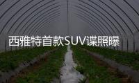 西雅特首款SUV諜照曝光 或命名Aran