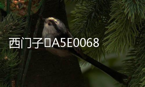西門子	A5E00687483技術文章