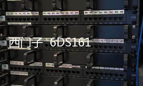 西門子 6DS1618