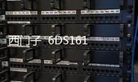 西門子  6DS1618