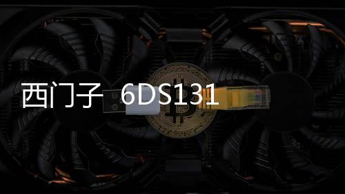 西門子 6DS1311