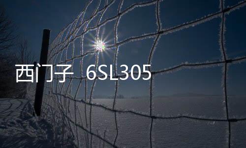 西門子  6SL3055