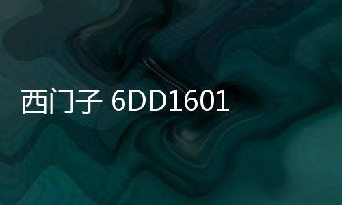 西門子 6DD16010AH0詳情咨詢