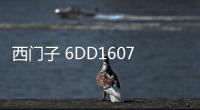 西門子 6DD1607