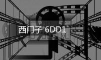 西門子 6DD1