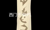西門子 6EP1