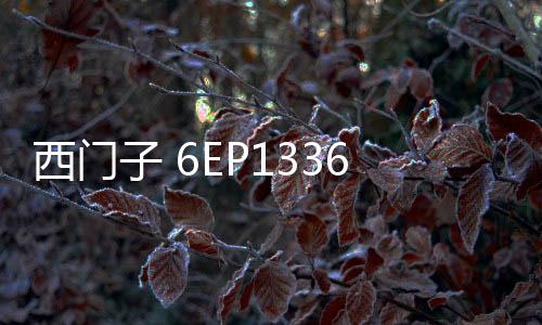 西門子 6EP13362BA10企業資訊