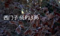 西門子 6EP13362BA10企業資訊