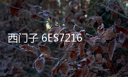 西門子 6ES7216