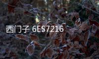 西門子 6ES7216