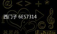 西門子 6ES7314