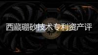 西藏硼砂技術專利資產評估超過4000元,行業資訊