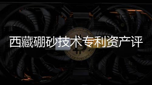 西藏硼砂技術專利資產評估超過4000元,行業資訊
