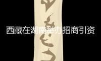 西藏在湖南舉辦招商引資推介會 簽訂項目7個金額達10億元