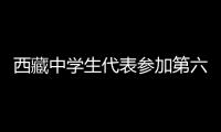 西藏中學(xué)生代表參加第六屆全國中學(xué)生模擬聯(lián)合國大會