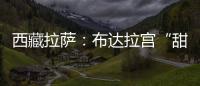 西藏拉薩：布達(dá)拉宮“甜蜜換裝”