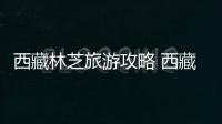 西藏林芝旅游攻略 西藏林芝旅游景點有哪些
