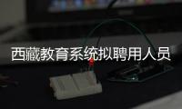 西藏教育系統(tǒng)擬聘用人員名單公示！