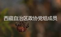 西藏自治區政協黨組成員、副主席姜杰接受中央紀委國家監委審查調查