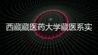 西藏藏醫藥大學藏醫系實施“攀登者計劃”打造黨建高地