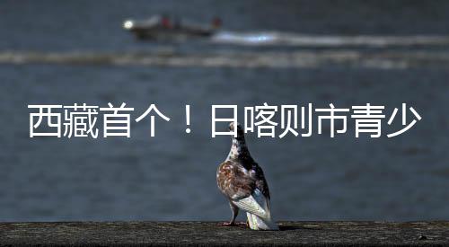 西藏首個！日喀則市青少年科學院全面啟用