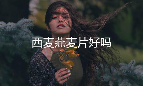 西麥燕麥片好嗎