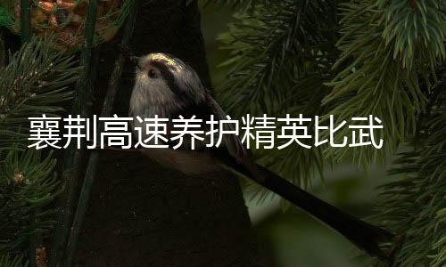 襄荊高速養護精英比武 高遠路業斬獲養護標桿團隊獎