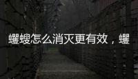 蠼螋怎么消滅更有效，蠼螋怎么消滅